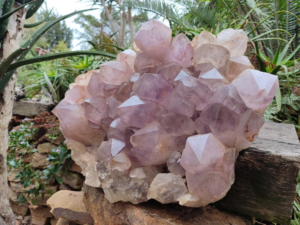 Natural XXL Jacaranda Amethyst Cluster x 1 From Mumbwa, Zambia - Toprock Gemstones and Minerals 