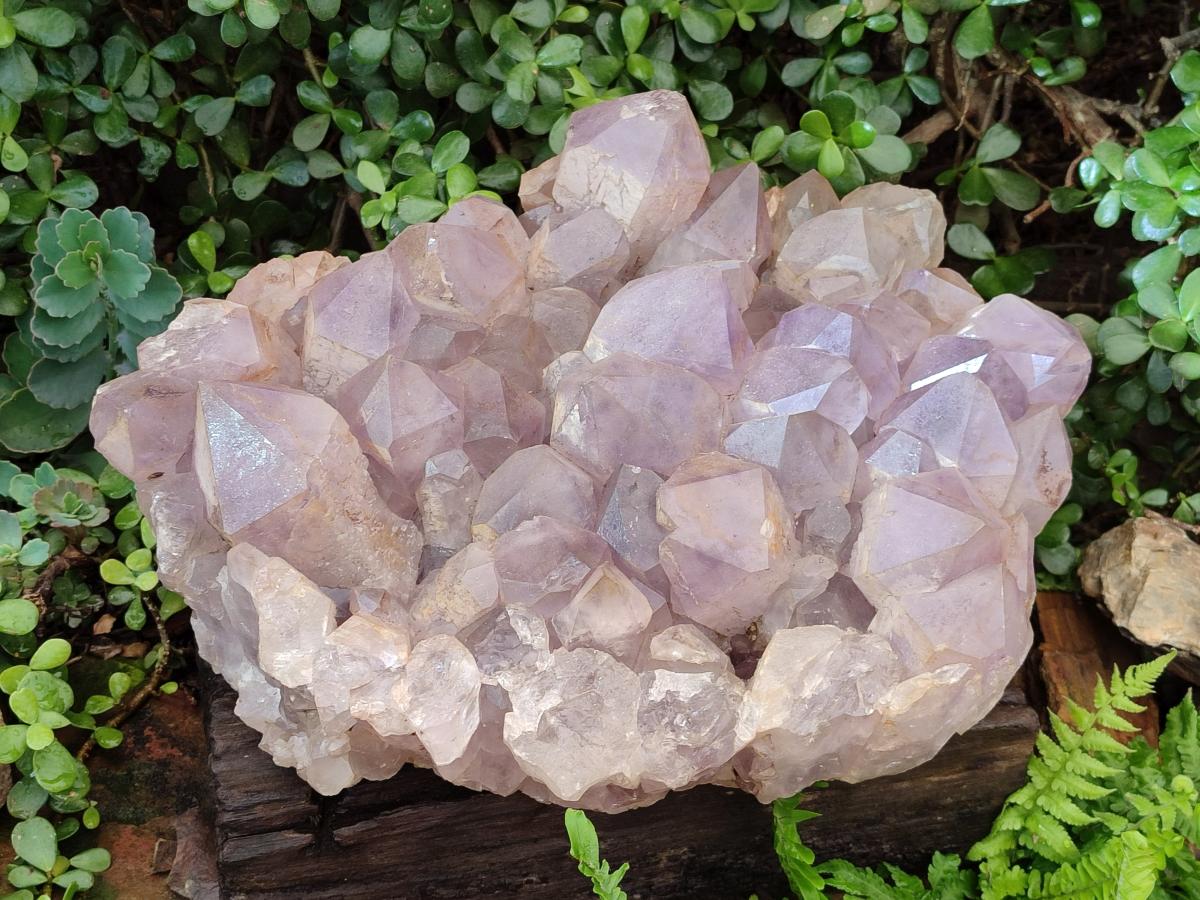 Natural XXL Jacaranda Amethyst Cluster x 1 From Mumbwa, Zambia - Toprock Gemstones and Minerals 