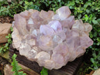 Natural XXL Jacaranda Amethyst Cluster x 1 From Mumbwa, Zambia - Toprock Gemstones and Minerals 