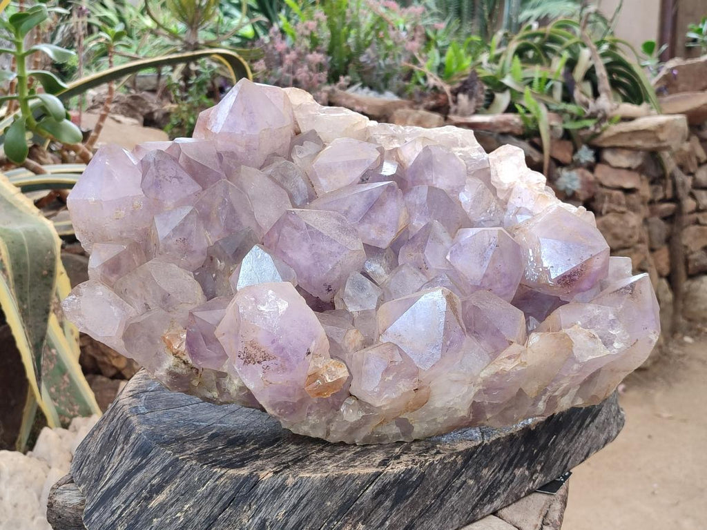 Natural XXL Jacaranda Amethyst Cluster x 1 From Mumbwa, Zambia - Toprock Gemstones and Minerals 