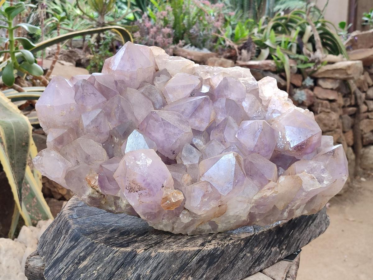 Natural XXL Jacaranda Amethyst Cluster x 1 From Mumbwa, Zambia - Toprock Gemstones and Minerals 
