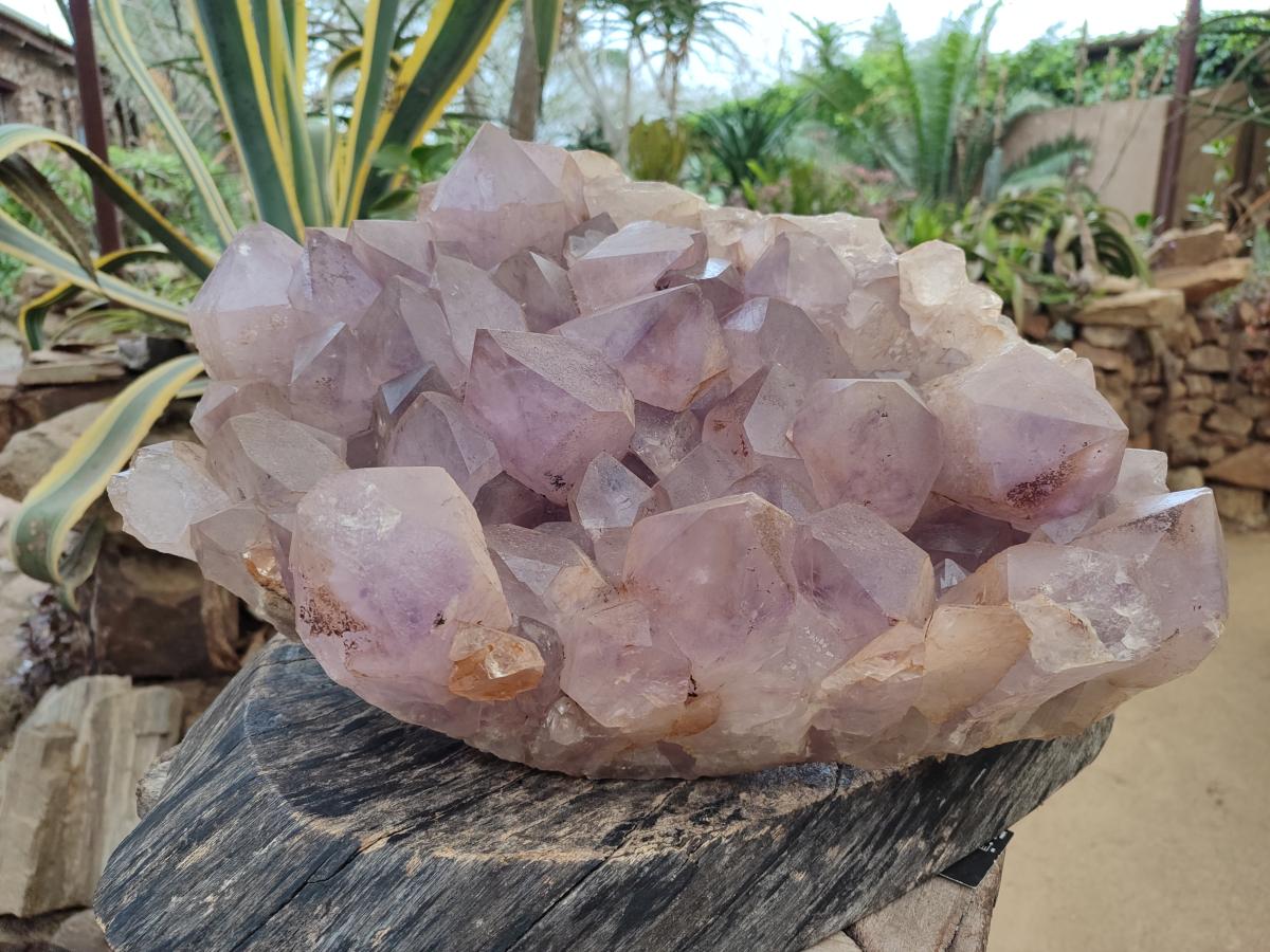 Natural XXL Jacaranda Amethyst Cluster x 1 From Mumbwa, Zambia - Toprock Gemstones and Minerals 