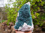 Natural Large Ball Malachite Specimen with Quartz on Dolomite Matrix x 1 From Mindingi Mine, Kambove, Congo - Toprock Gemstones and Minerals 