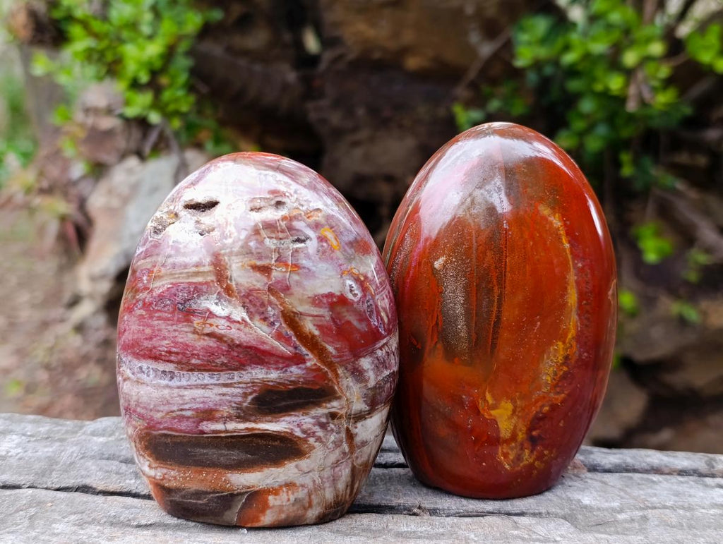Polished Red Podocarpus Petrified Wood Standing Display Pieces x 4 From Mahajanga, Madagascar - Toprock Gemstones and Minerals 