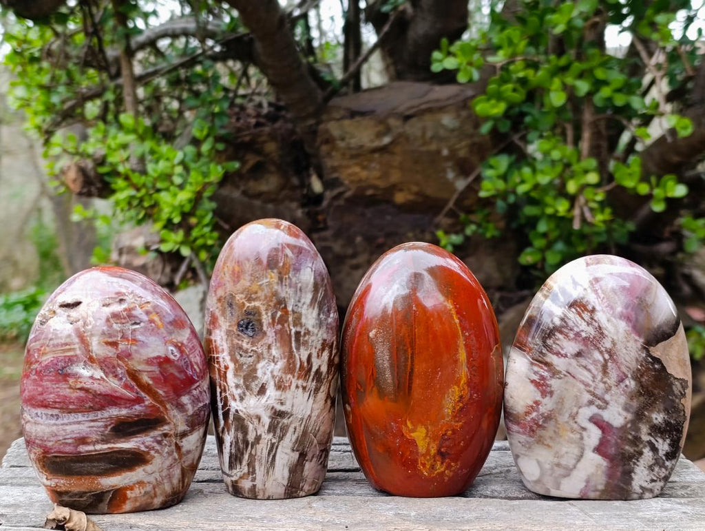 Polished Red Podocarpus Petrified Wood Standing Display Pieces x 4 From Mahajanga, Madagascar - Toprock Gemstones and Minerals 