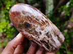 Polished Red Podocarpus Petrified Wood Standing Display Pieces x 4 From Mahajanga, Madagascar - Toprock Gemstones and Minerals 