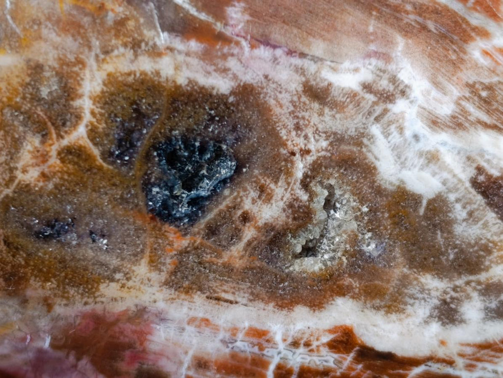 Polished Red Podocarpus Petrified Wood Standing Display Pieces x 4 From Mahajanga, Madagascar - Toprock Gemstones and Minerals 