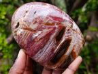 Polished Red Podocarpus Petrified Wood Standing Display Pieces x 4 From Mahajanga, Madagascar - Toprock Gemstones and Minerals 