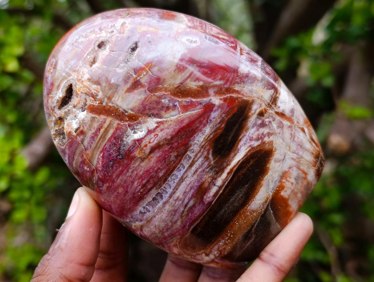 Polished Red Podocarpus Petrified Wood Standing Display Pieces x 4 From Mahajanga, Madagascar - Toprock Gemstones and Minerals 