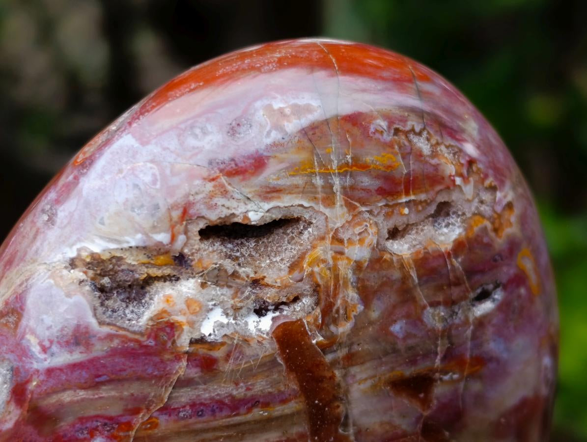 Polished Red Podocarpus Petrified Wood Standing Display Pieces x 4 From Mahajanga, Madagascar - Toprock Gemstones and Minerals 