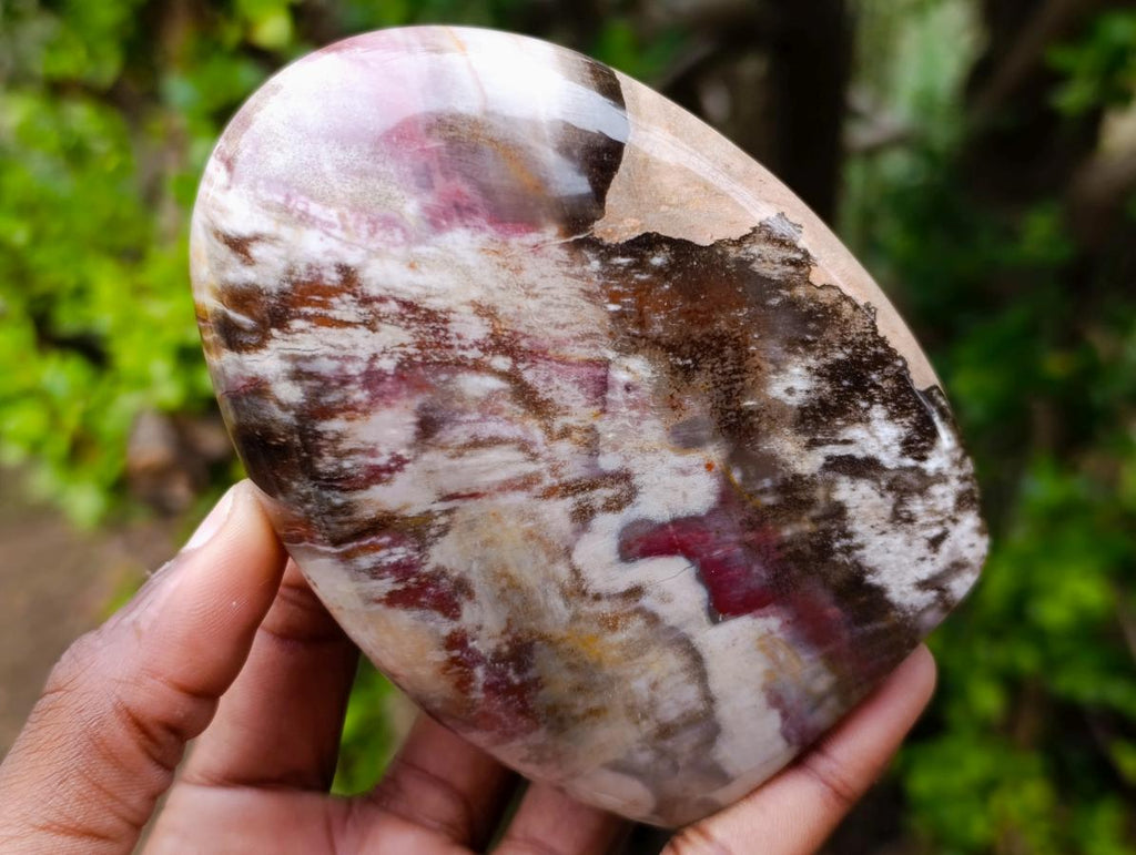 Polished Red Podocarpus Petrified Wood Standing Display Pieces x 4 From Mahajanga, Madagascar - Toprock Gemstones and Minerals 