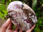 Polished Red Podocarpus Petrified Wood Standing Display Pieces x 4 From Mahajanga, Madagascar - Toprock Gemstones and Minerals 