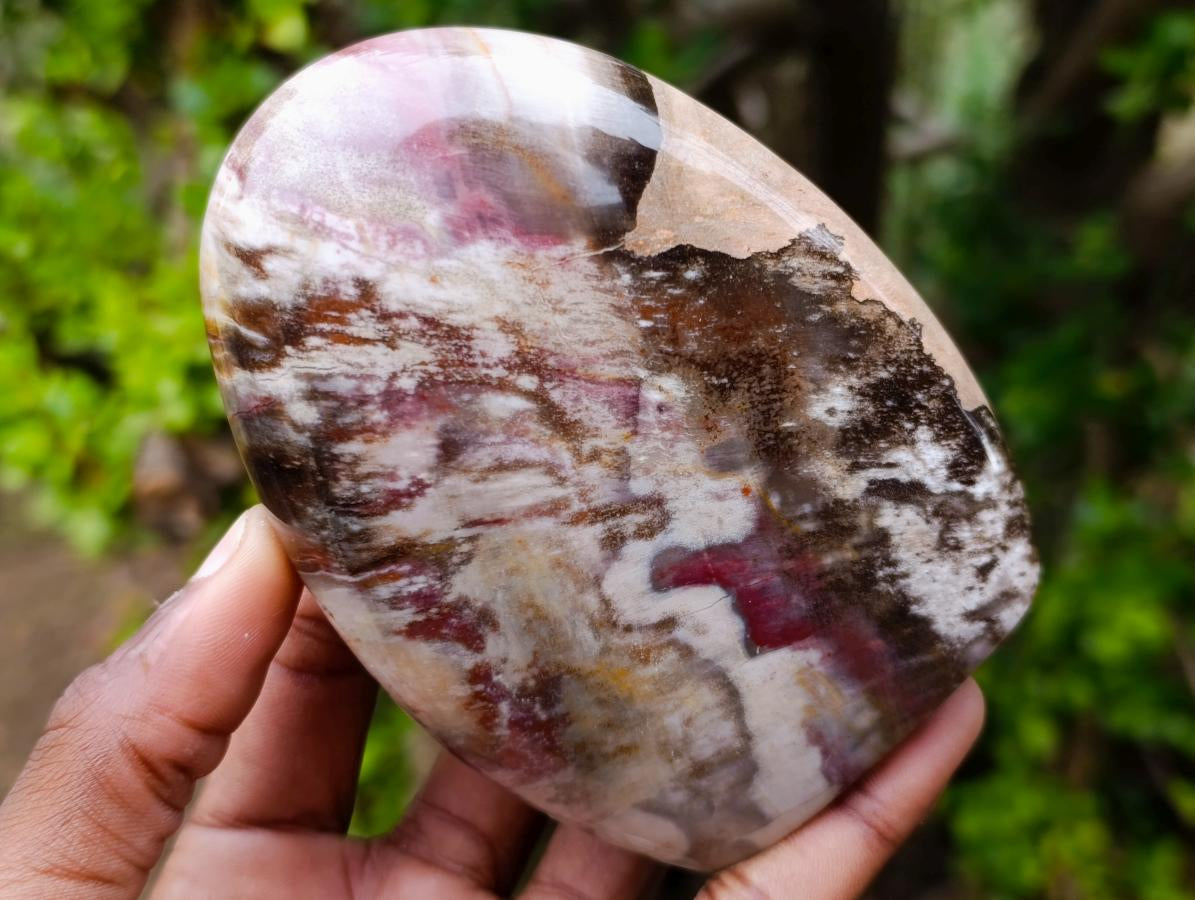 Polished Red Podocarpus Petrified Wood Standing Display Pieces x 4 From Mahajanga, Madagascar - Toprock Gemstones and Minerals 