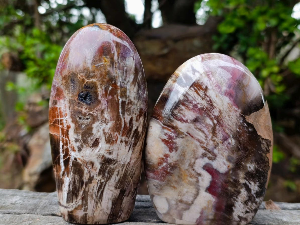 Polished Red Podocarpus Petrified Wood Standing Display Pieces x 4 From Mahajanga, Madagascar - Toprock Gemstones and Minerals 