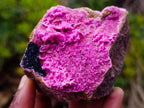 Natural Salrose Cobaltoan Dolomite Specimens x 4 From Kakanda, Congo - Toprock Gemstones and Minerals 