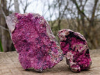 Natural Salrose Cobaltoan Dolomite Specimens x 4 From Kakanda, Congo - Toprock Gemstones and Minerals 