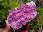 Natural Salrose Cobaltoan Dolomite Specimens x 4 From Kakanda, Congo - Toprock Gemstones and Minerals 