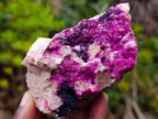 Natural Salrose Cobaltoan Dolomite Specimens x 4 From Kakanda, Congo - Toprock Gemstones and Minerals 