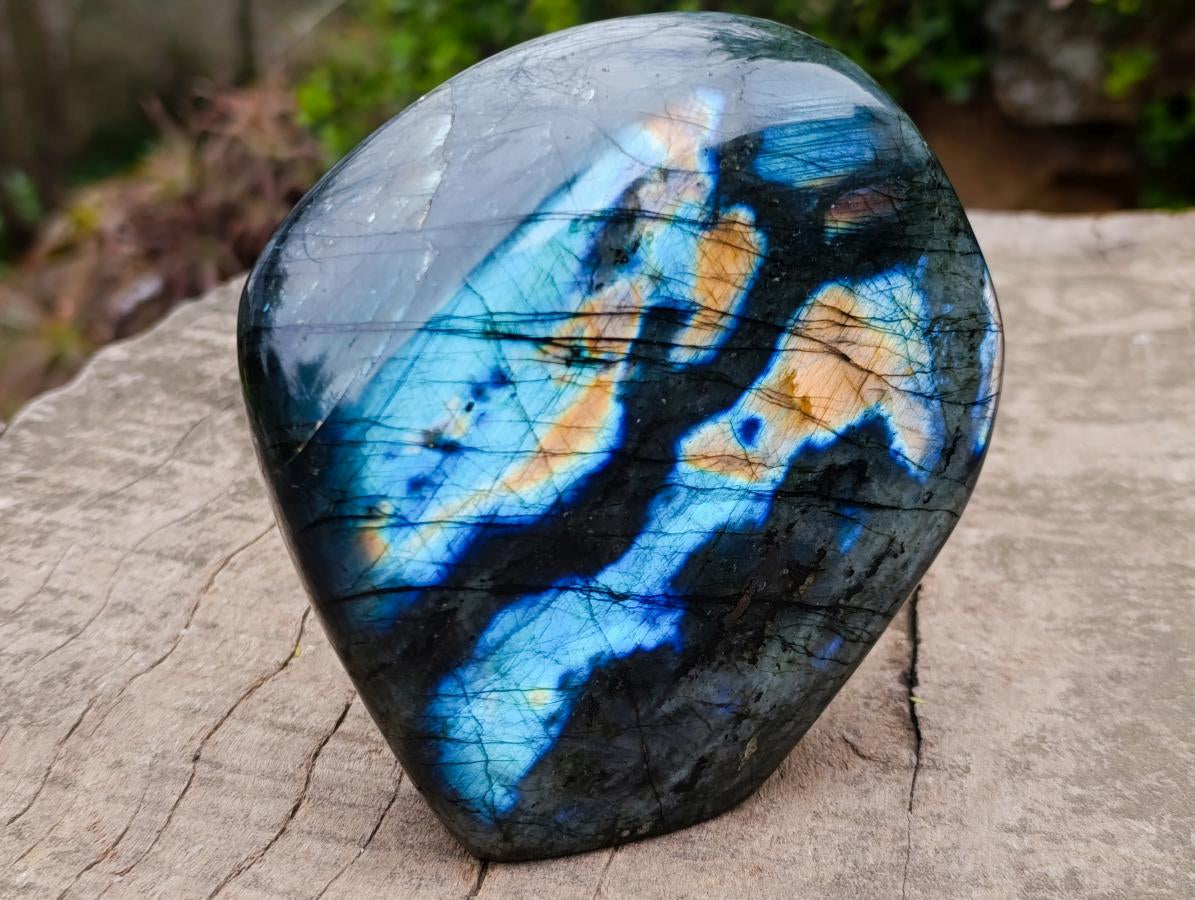 Polished Large Labradorite Standing Display Piece x 1 From Madagascar - Toprock Gemstones and Minerals 