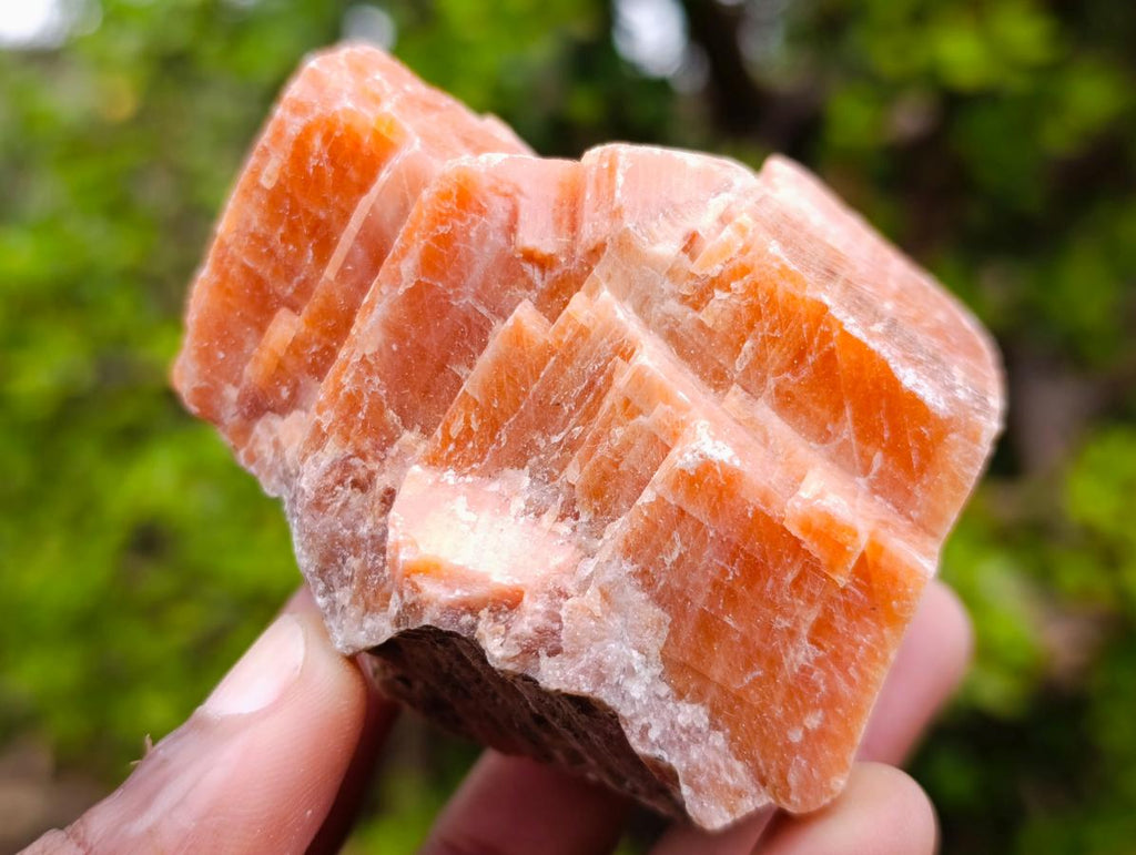 Natural Rhombohedral Sunset Orange Calcite Specimens x 12 From Spitzkop, Namibia - Toprock Gemstones and Minerals 