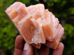 Natural Rhombohedral Sunset Orange Calcite Specimens x 12 From Spitzkop, Namibia - Toprock Gemstones and Minerals 