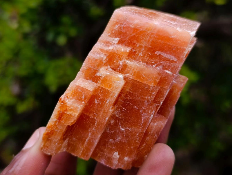Natural Rhombohedral Sunset Orange Calcite Specimens x 12 From Spitzkop, Namibia - Toprock Gemstones and Minerals 