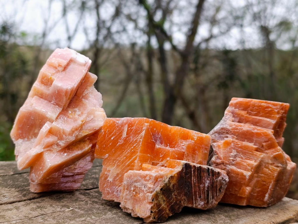 Natural Rhombohedral Sunset Orange Calcite Specimens x 12 From Spitzkop, Namibia - Toprock Gemstones and Minerals 