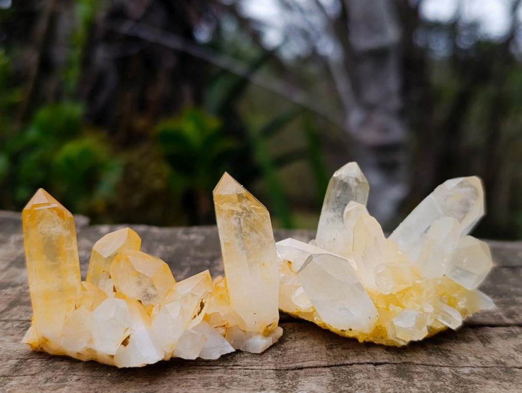 Natural Malagasy Quartz Clusters x 35 From Madagascar - Toprock Gemstones and Minerals 