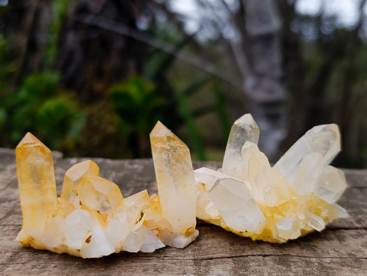 Natural Malagasy Quartz Clusters x 35 From Madagascar - Toprock Gemstones and Minerals 
