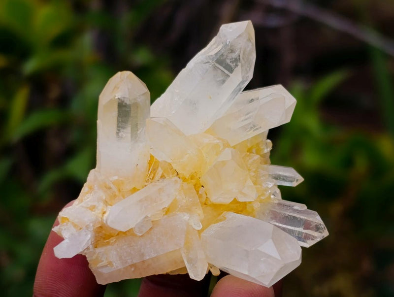Natural Malagasy Quartz Clusters x 35 From Madagascar - Toprock Gemstones and Minerals 