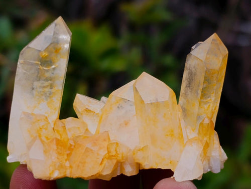 Natural Malagasy Quartz Clusters x 35 From Madagascar - Toprock Gemstones and Minerals 