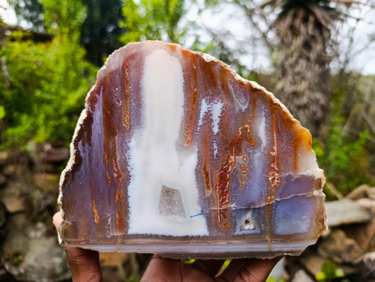 Polished One Side Red Shashe River Agate Nodules x 2 From Shashe River, Zimbabwe - Toprock Gemstones and Minerals 