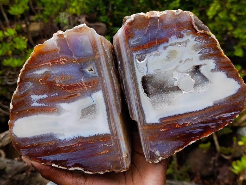 Polished One Side Red Shashe River Agate Nodules x 2 From Shashe River, Zimbabwe - Toprock Gemstones and Minerals 