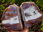 Polished One Side Red Shashe River Agate Nodules x 2 From Shashe River, Zimbabwe - Toprock Gemstones and Minerals 