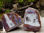 Polished One Side Red Shashe River Agate Nodules x 2 From Shashe River, Zimbabwe - Toprock Gemstones and Minerals 
