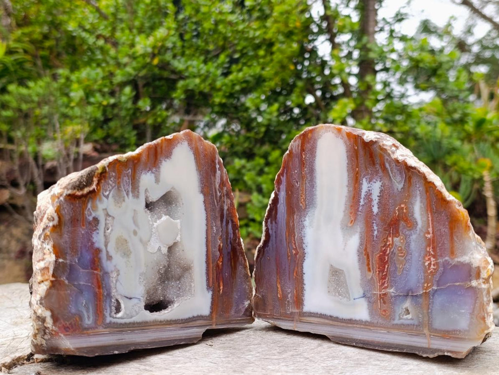Polished One Side Red Shashe River Agate Nodules x 2 From Shashe River, Zimbabwe - Toprock Gemstones and Minerals 