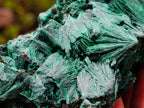Natural Silky Malachite Specimens x 2 From Kasompe, Congo - Toprock Gemstones and Minerals 
