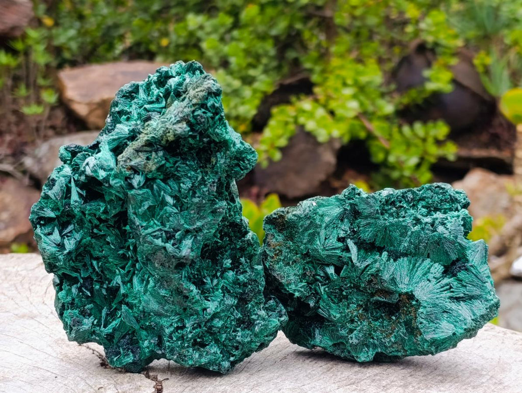 Natural Silky Malachite Specimens x 2 From Kasompe, Congo - Toprock Gemstones and Minerals 