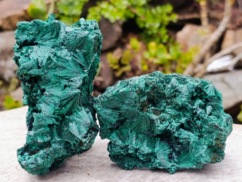 Natural Silky Malachite Specimens x 2 From Kasompe, Congo - Toprock Gemstones and Minerals 