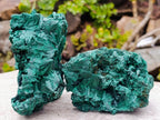 Natural Silky Malachite Specimens x 2 From Kasompe, Congo - Toprock Gemstones and Minerals 