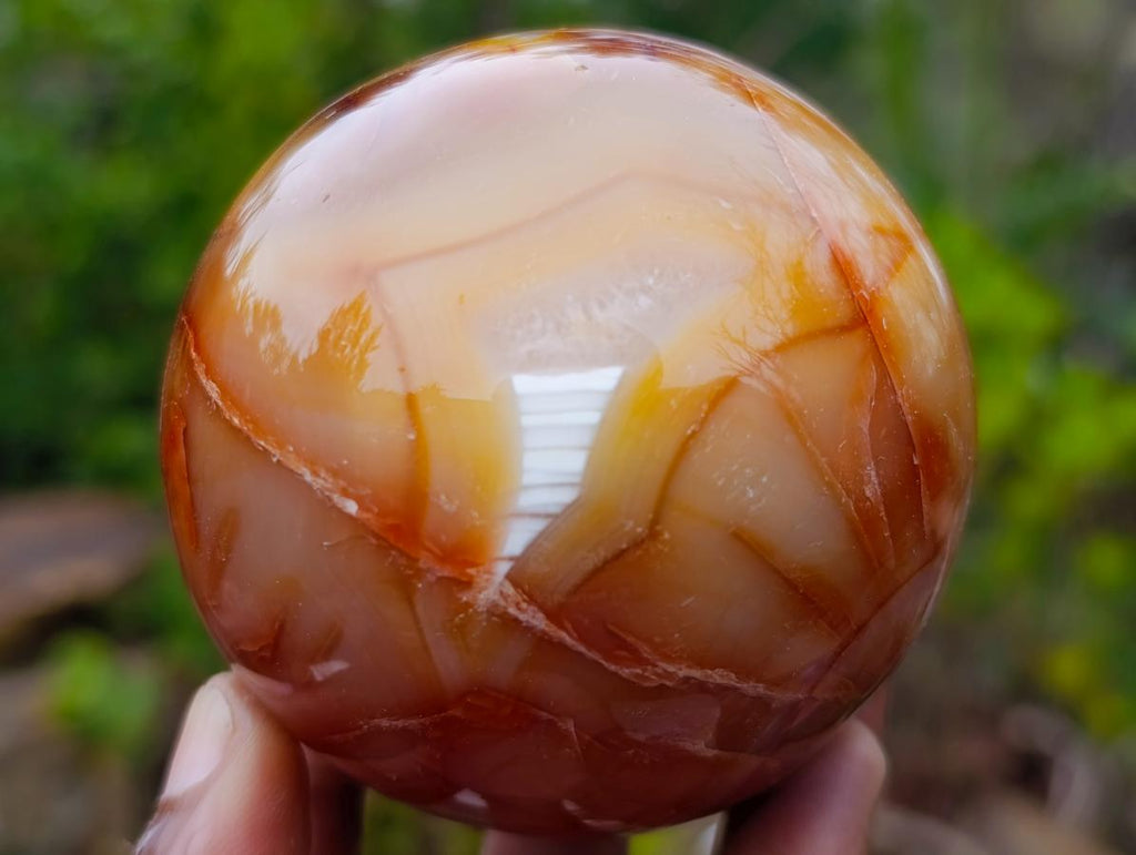 Polished and Natural Carnelian Agate Gemstone Spheres x 3 From Madagascar - Toprock Gemstones and Minerals 