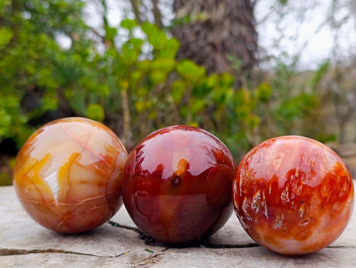 Polished and Natural Carnelian Agate Gemstone Spheres x 3 From Madagascar - Toprock Gemstones and Minerals 