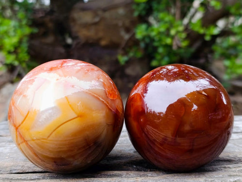Polished and Natural Carnelian Agate Gemstone Spheres x 3 From Madagascar - Toprock Gemstones and Minerals 