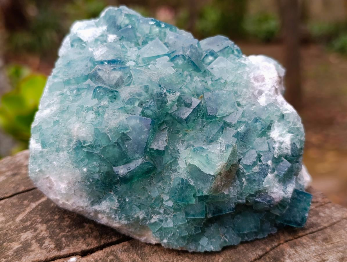 Natural Green Cubic Fluorite Specimens x 2 From Mandrosonoro, Madagascar - Toprock Gemstones and Minerals 