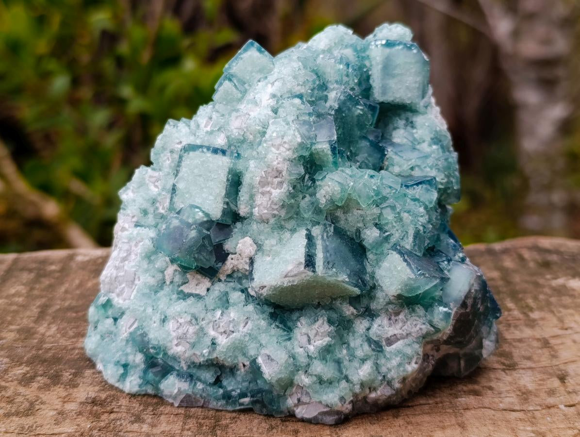 Natural Green Cubic Fluorite Specimens x 2 From Mandrosonoro, Madagascar - Toprock Gemstones and Minerals 