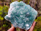 Natural Green Cubic Fluorite Specimens x 2 From Mandrosonoro, Madagascar - Toprock Gemstones and Minerals 