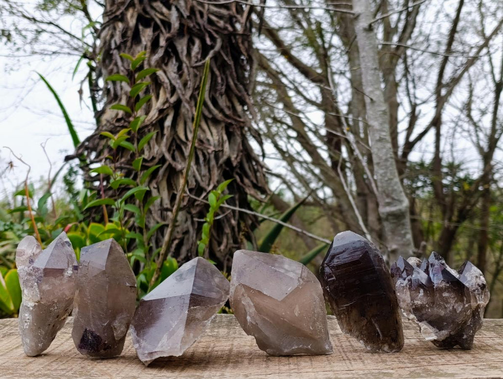 Natural Smokey Quartz and Clear Smokey Quartz Crystals x 6 From Zomba Plateau, Malawi - Toprock Gemstones and Minerals 