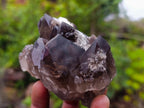Natural Smokey Quartz and Clear Smokey Quartz Crystals x 6 From Zomba Plateau, Malawi - Toprock Gemstones and Minerals 