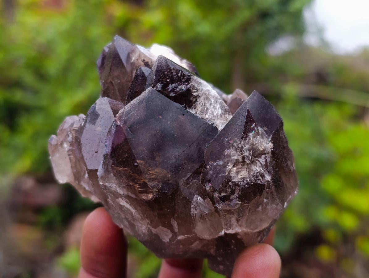 Natural Smokey Quartz and Clear Smokey Quartz Crystals x 6 From Zomba Plateau, Malawi - Toprock Gemstones and Minerals 