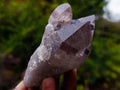 Natural Smokey Quartz and Clear Smokey Quartz Crystals x 6 From Zomba Plateau, Malawi - Toprock Gemstones and Minerals 